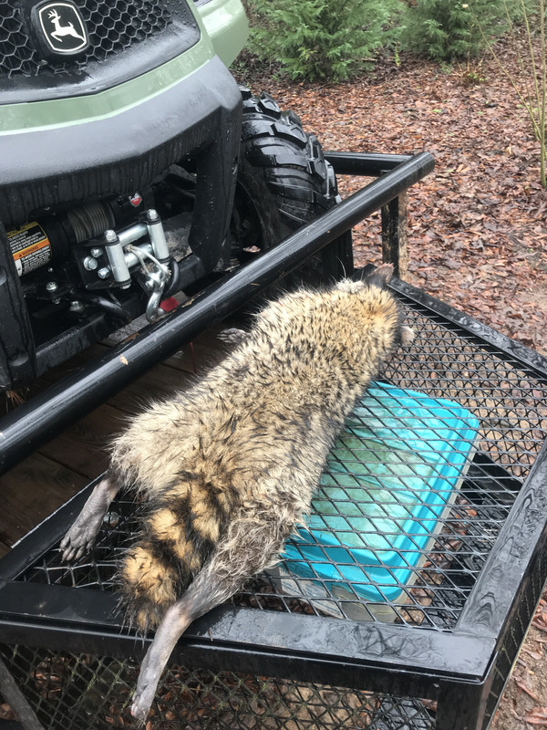 9E1EA3AD-0574-4084-B36B-D825AC92E26D