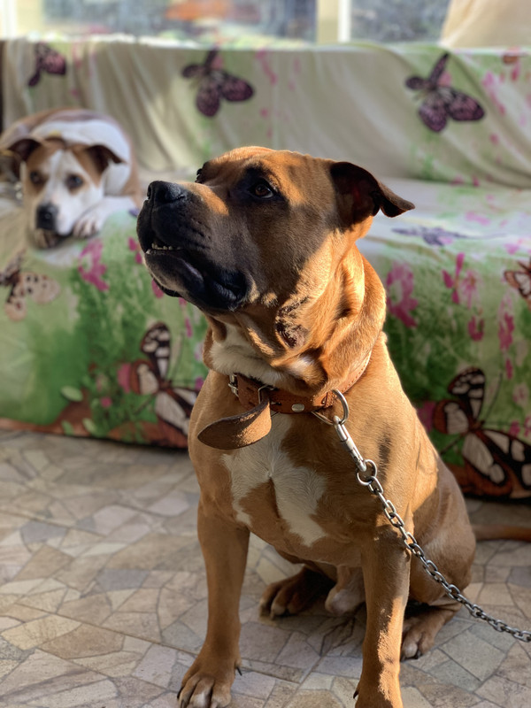 E16310C4-F730-48D3-9682-C022A0E6715D