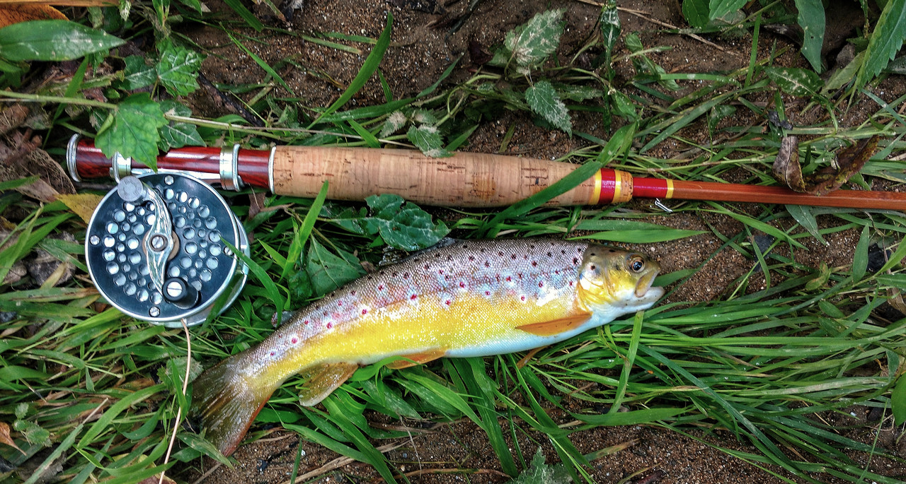 IMG_20180822_143801-01