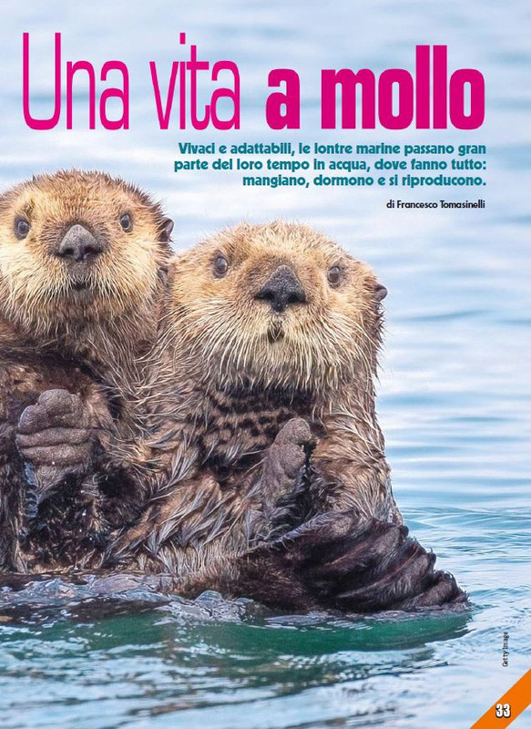 Foc Wil - Mag 2023 (4)