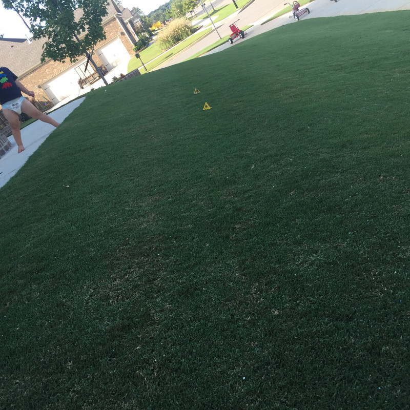 DFC11887-5405-4BE5-8039-374BECF1F27F