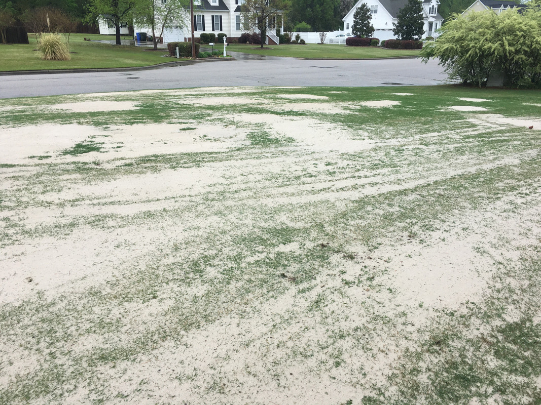 9D313397-CA32-4CB7-B877-2D5C13CFEC6C