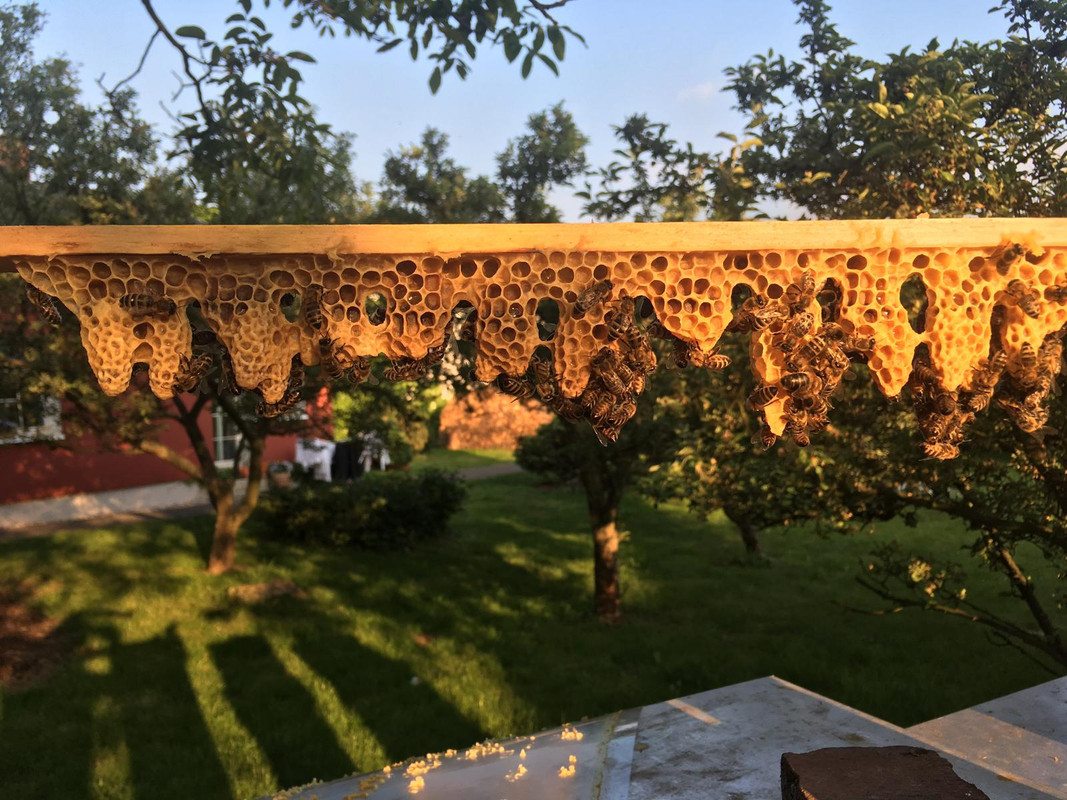 D61EEE9B-6054-4A8B-98FB-0076F5659A74