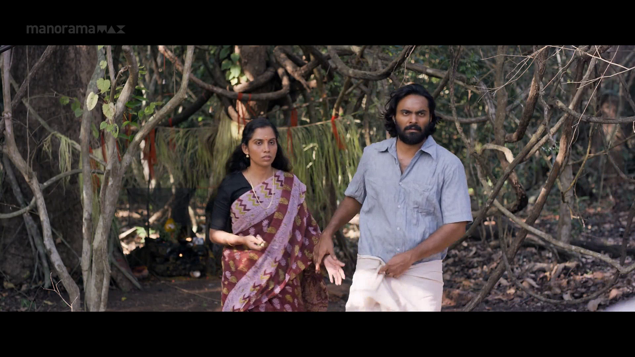 vlcsnap 2026 02 06 18h03m17s010