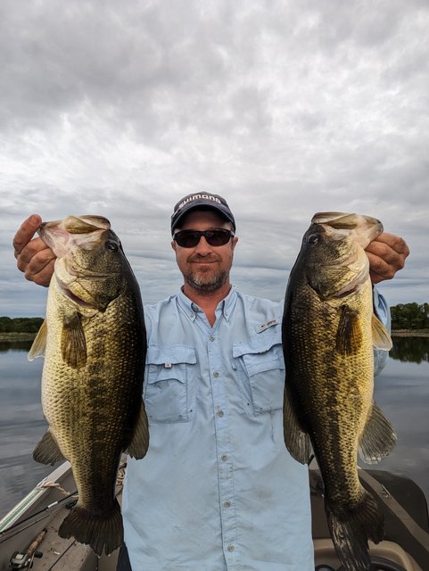 https://i.postimg.cc/J4Rt018W/PXL-20240601-010020044.jpg
