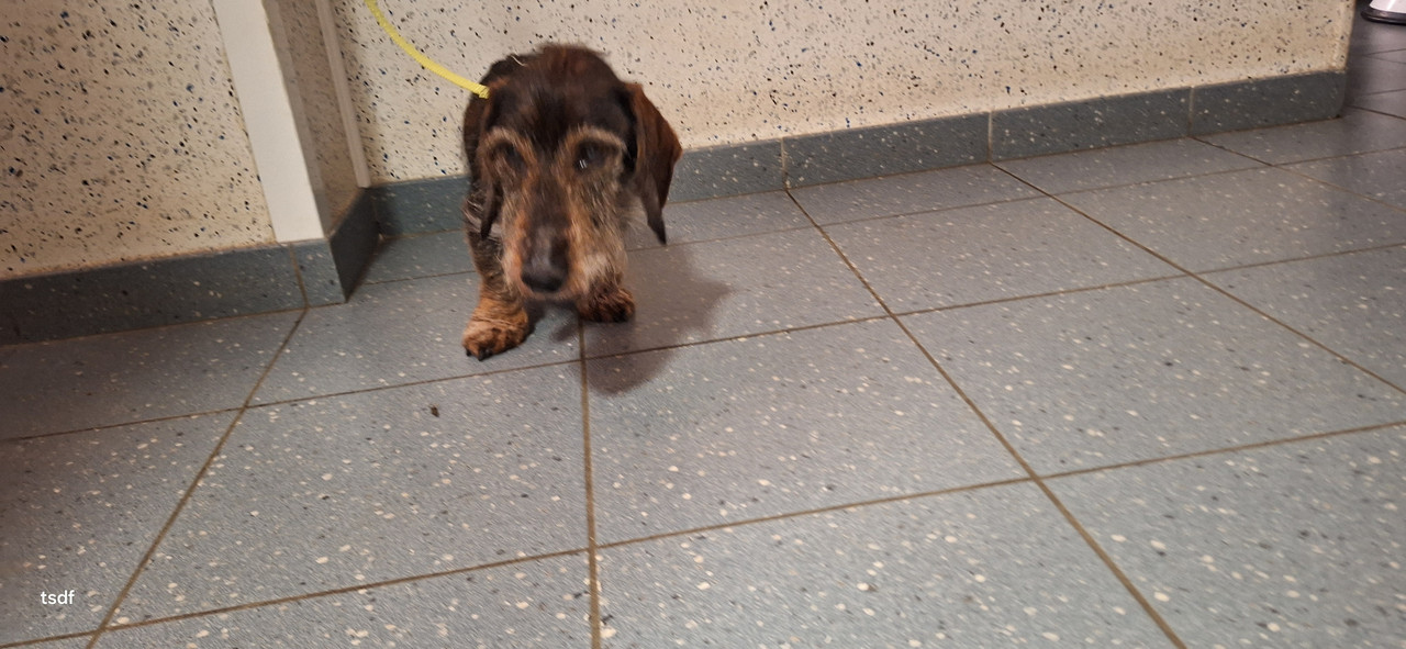 [Image: 20250117-173942.jpg]