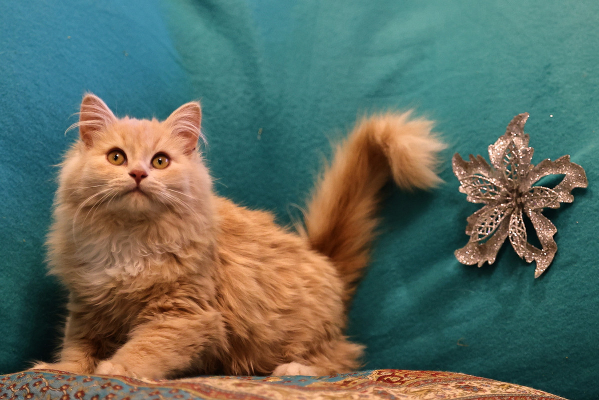 68ED5F9B-9F7C-4845-8009-AAA9EAD6383A