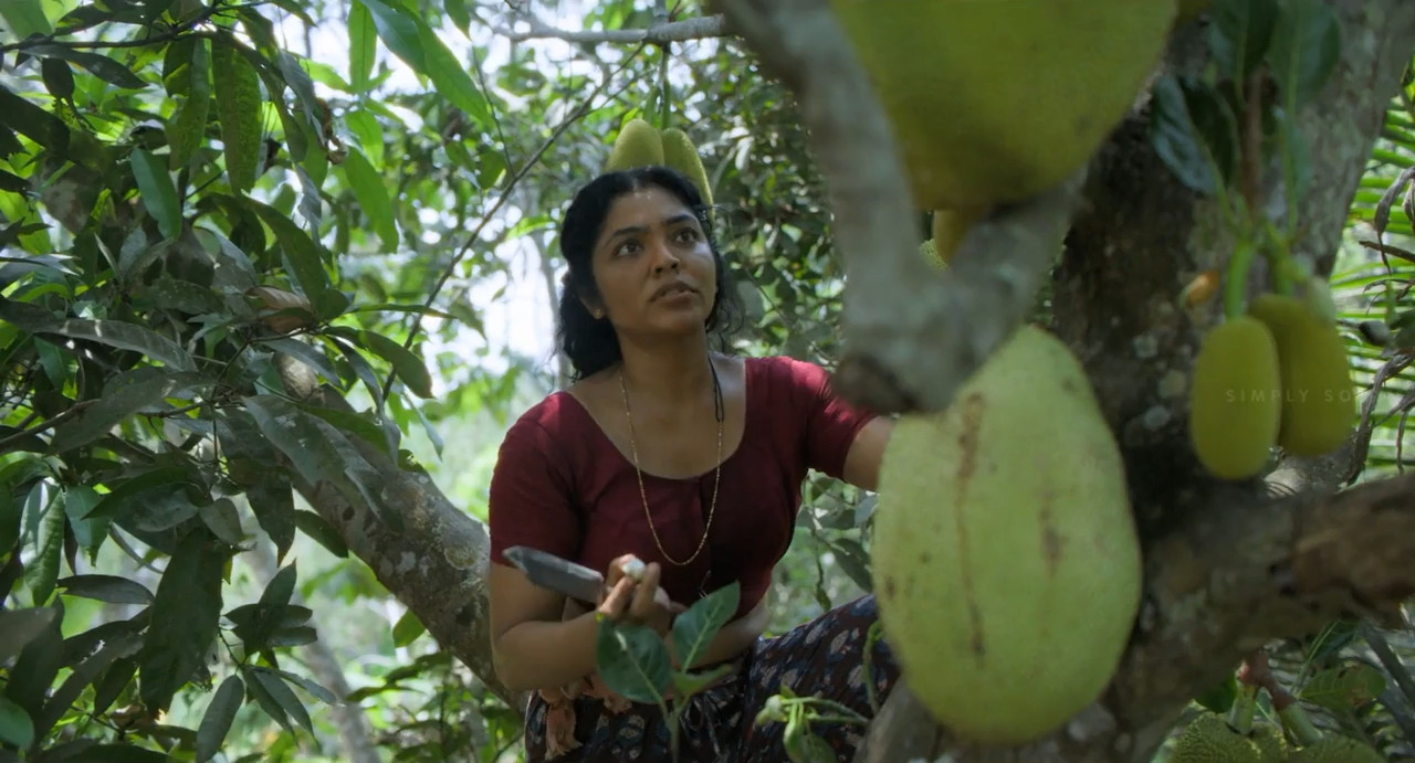 Theatre: The Myth of Reality 2025 WebRip [Malayalam] 480p, 720p ESub Screenshot