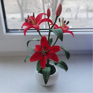 https://i.postimg.cc/J4SB2R8j/095.jpg
