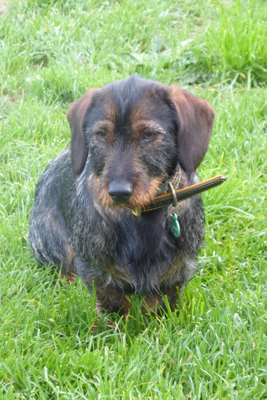 [Image: P1040401.jpg]