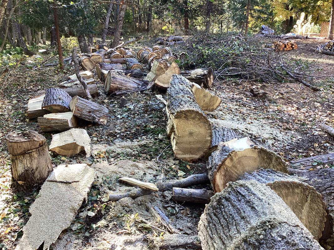 2E97052C-D469-4161-8D02-7B0258EE7CE2