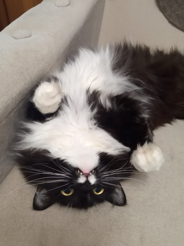 ec2c3807-fb89-40c9-8920-89e77cd354fe