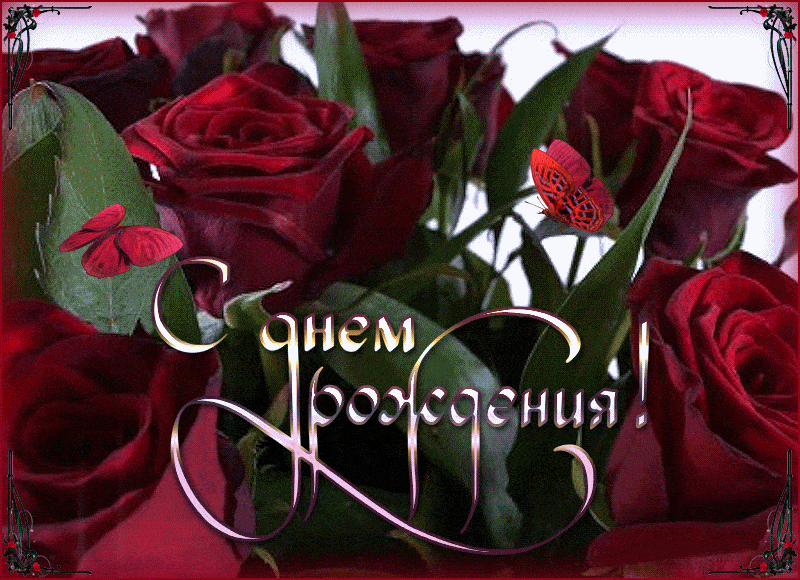 https://i.postimg.cc/J4Szt0Tn/9462f031ee5737666dbbb5f8ec96353d.gif