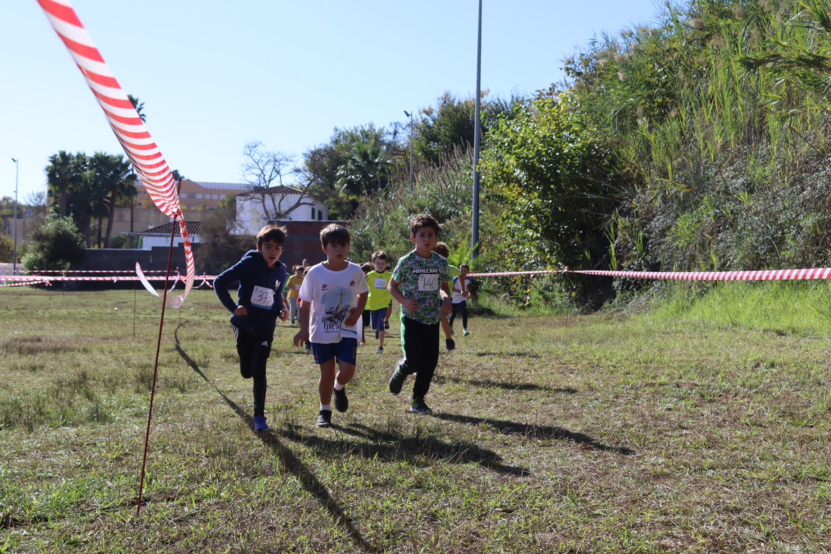 IMG-0600