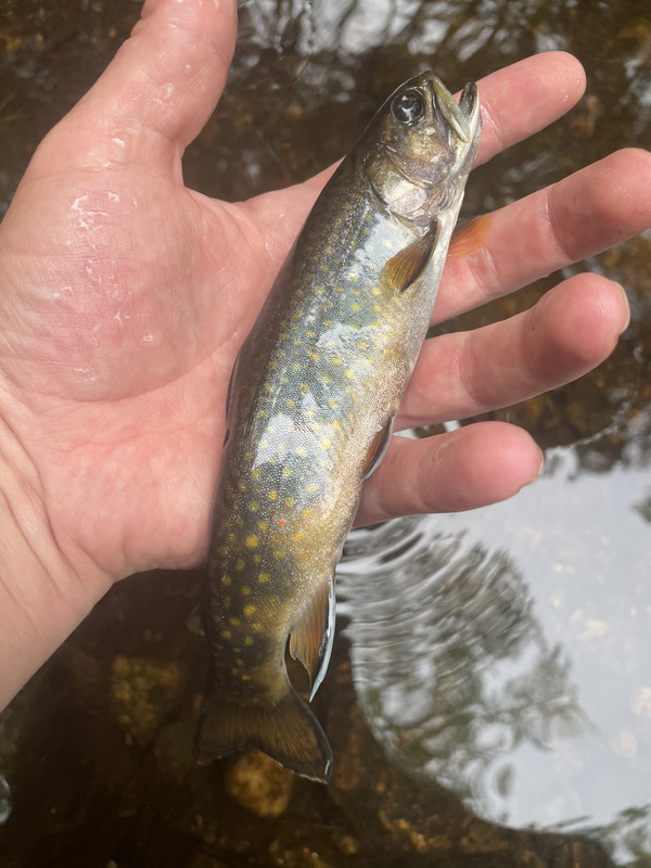 961BE0F0-DD76-40C3-A29C-FB6741C93330