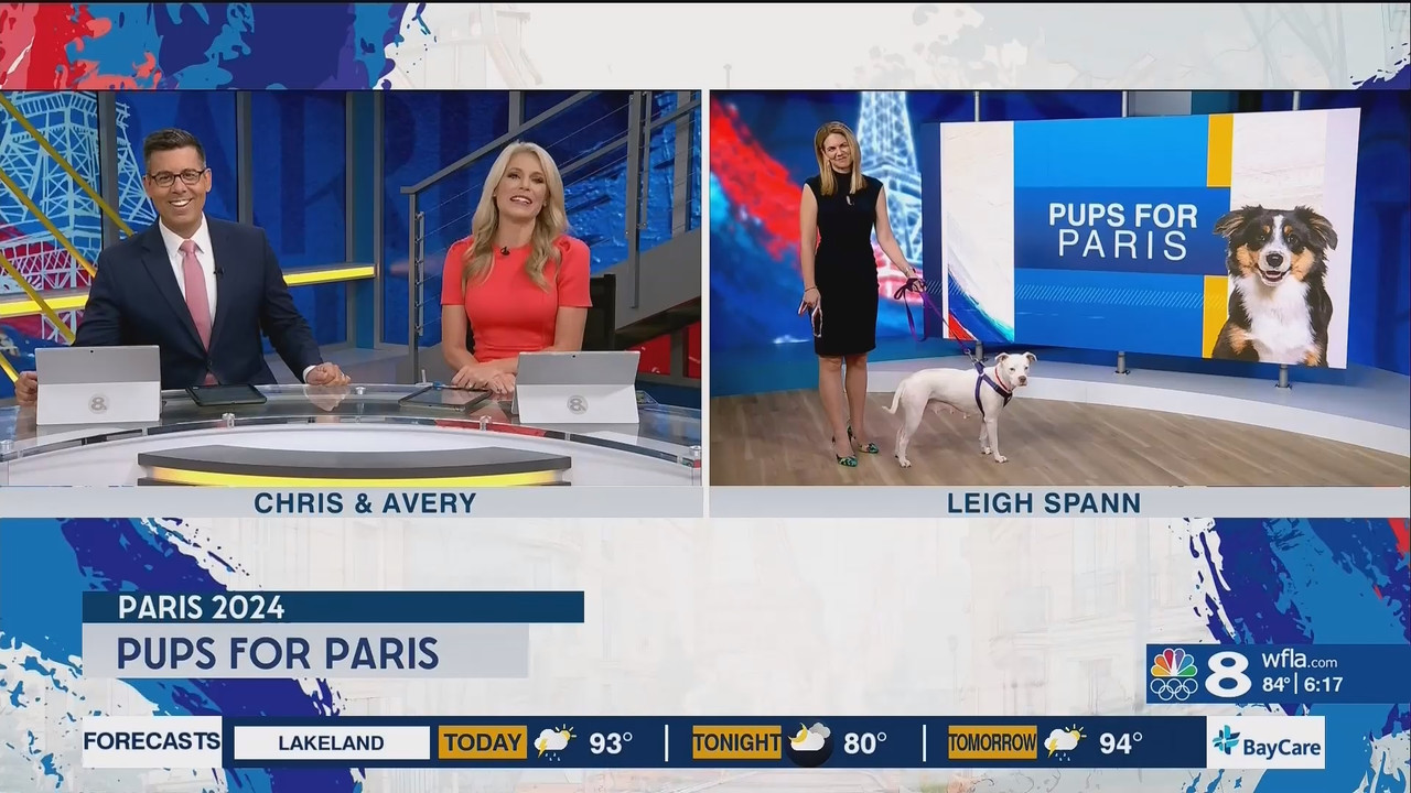 NewsChannel 8 Today at 6a_20240807_11001200.ts_snapshot_00.18.02.257