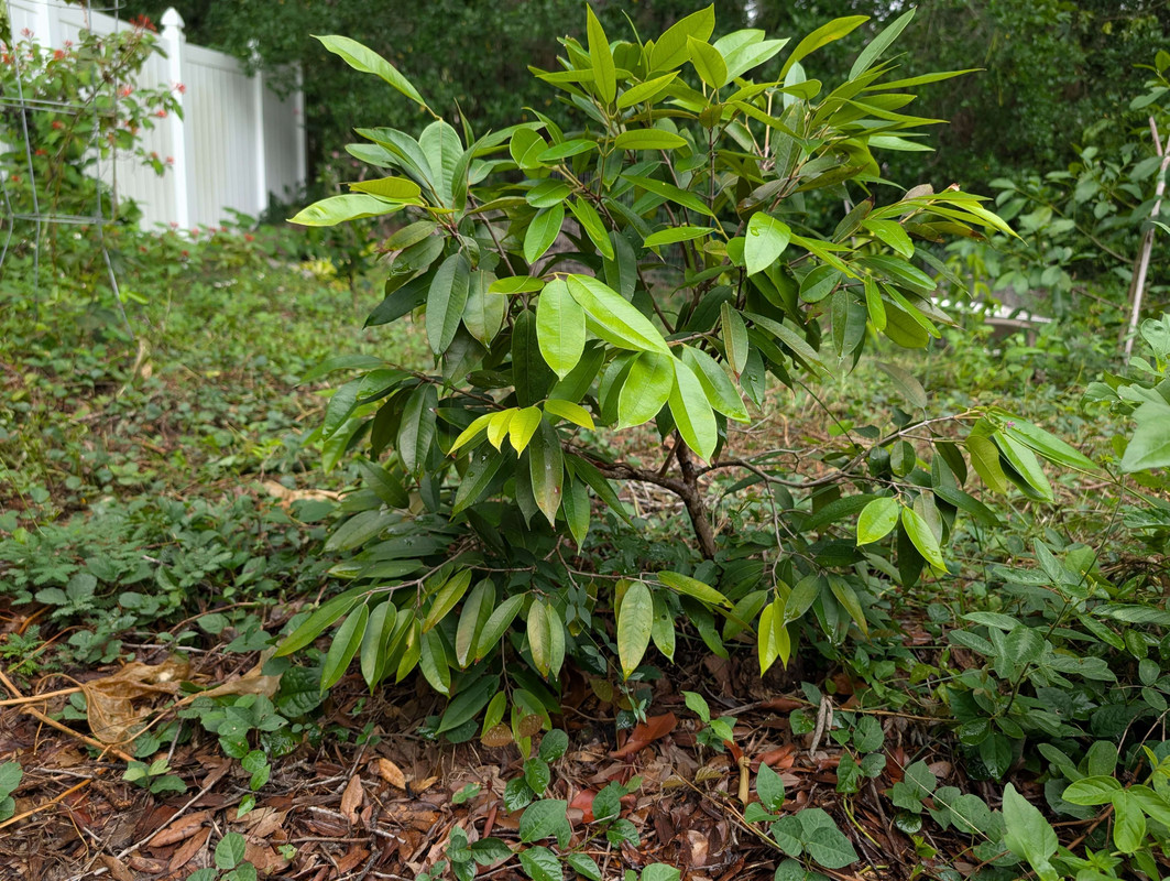 PXL_20250630_155650675