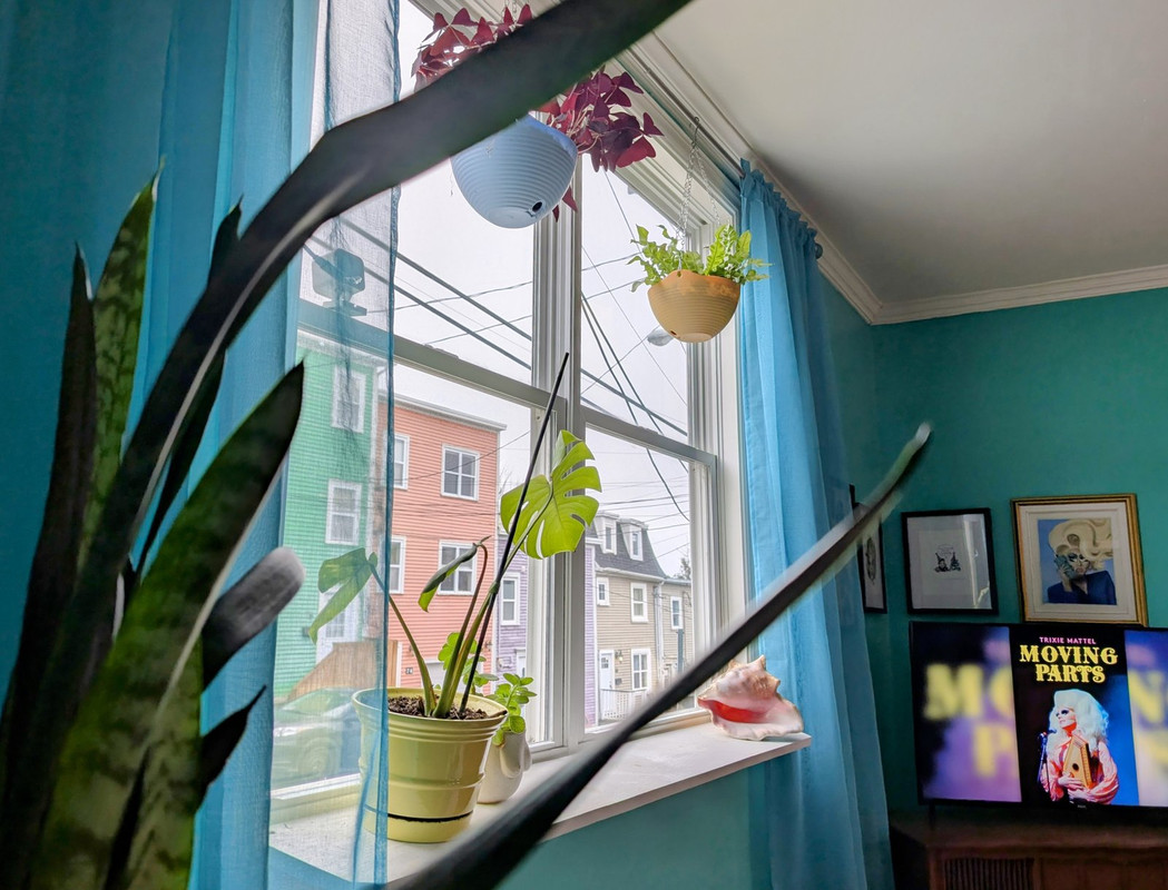 PXL_20241228_131456947.MP~2