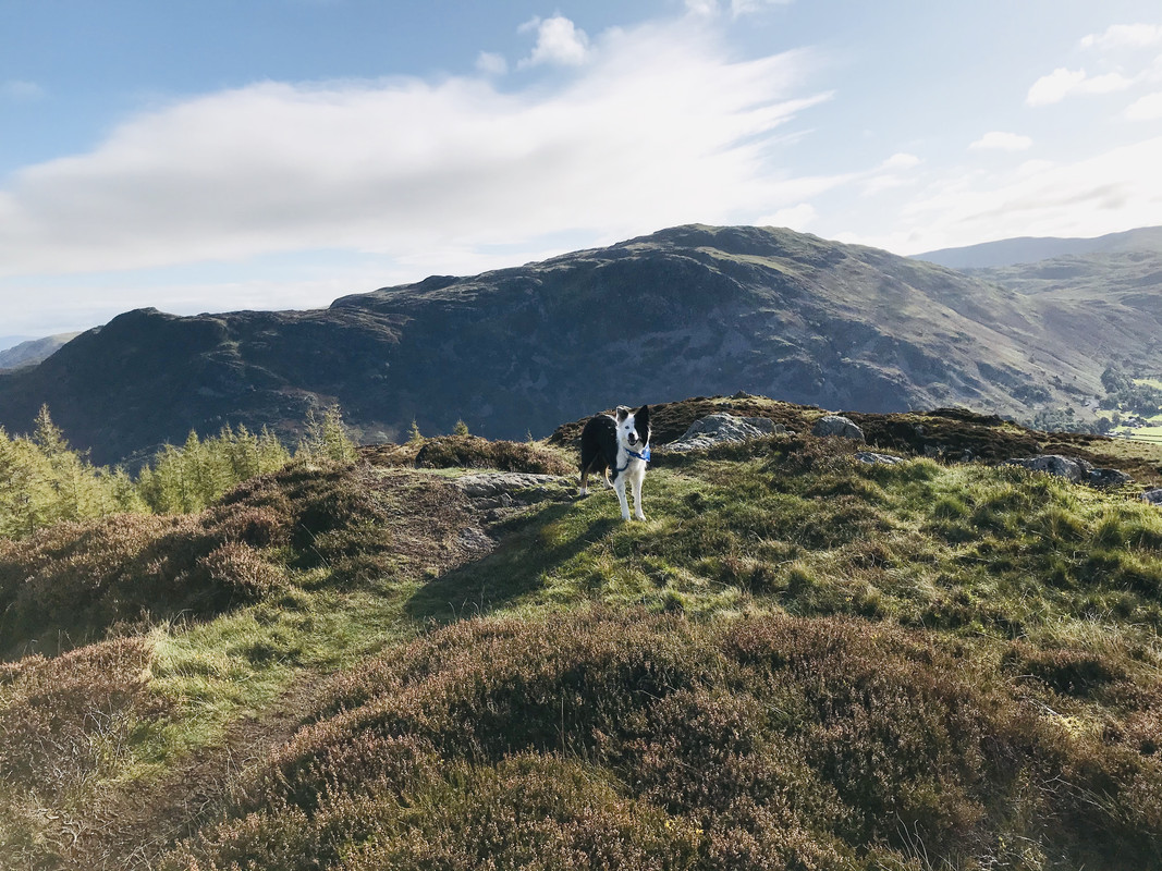 Glenridding Dodd