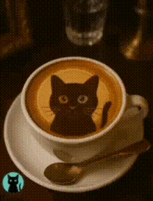 Coffee-wink-cat.gif