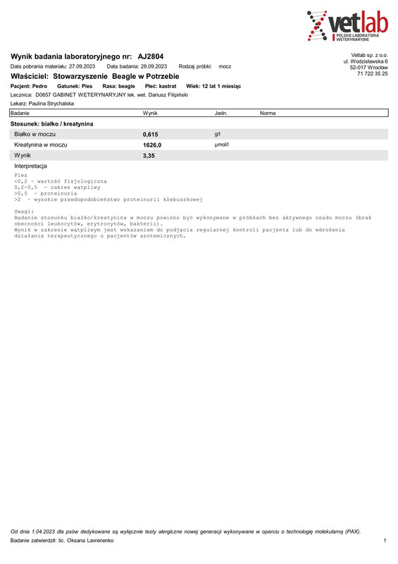 Beagle w Potrzebie Stowarzyszenie (AJ2804)
