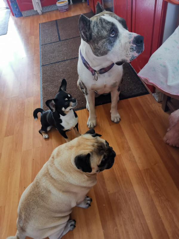 A611CB32-4E6C-444E-A6C6-149727D006B7