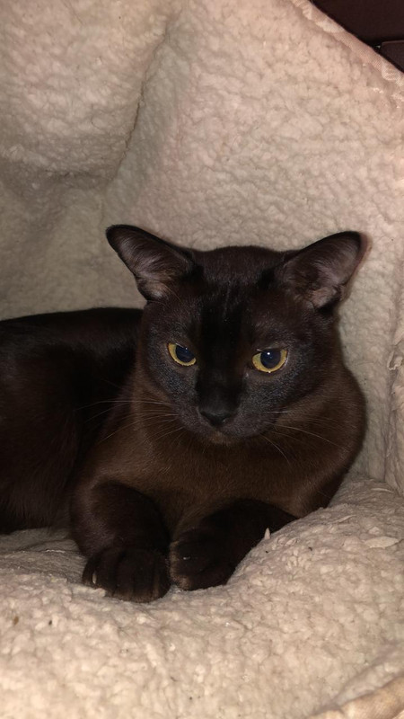 D53C1640-6921-4BAE-BEC5-FAB67055979A