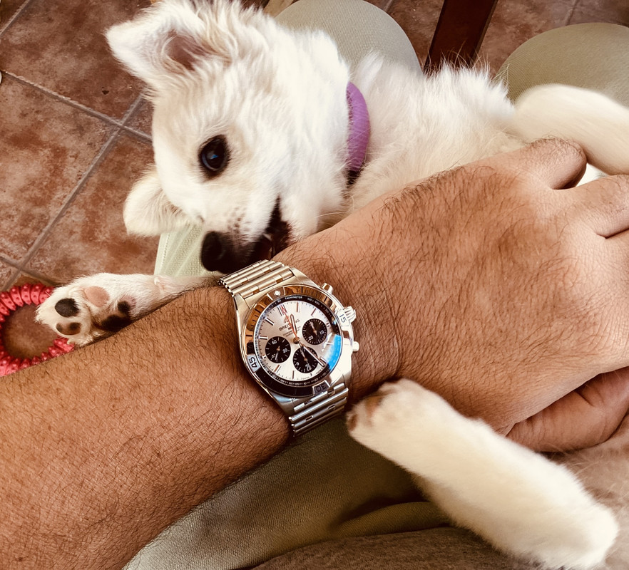 F8CB6576-2AAB-48F0-9583-BDA4877C05DC