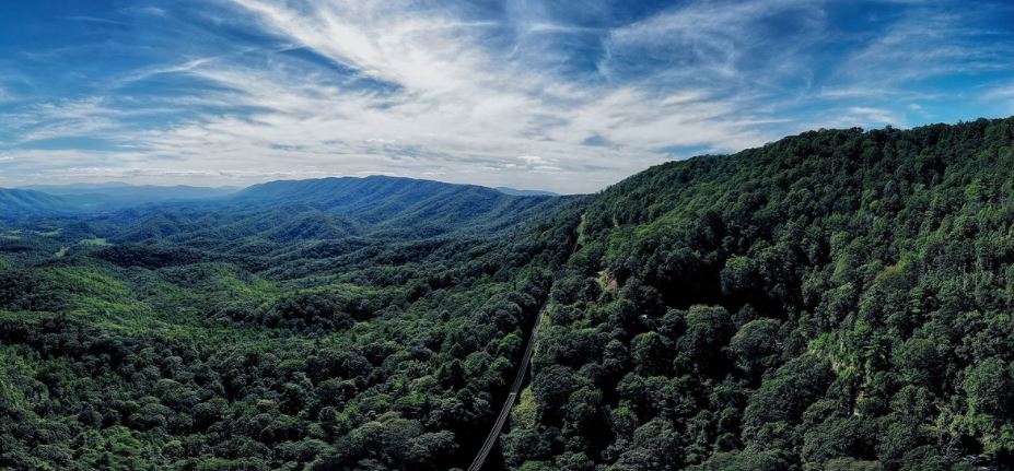 Hutan Nasional Cherokee, Tennessee