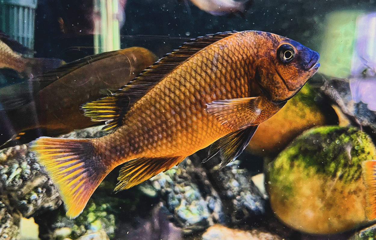 988581F6-2E87-41BB-BD36-2DE388907232