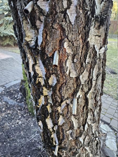 [Image: 20260314-164935.jpg]