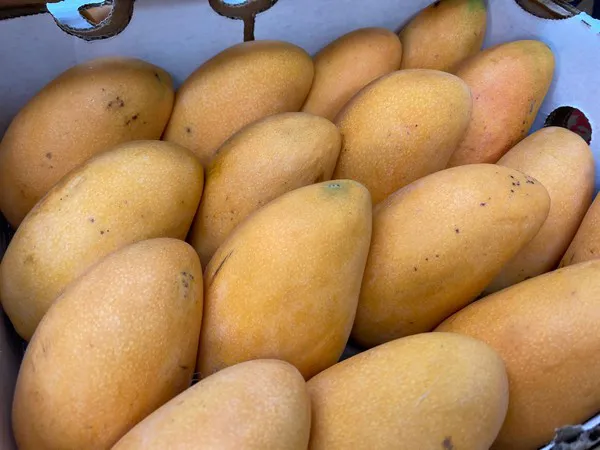 Mango2