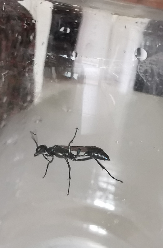 IMG_20210731_112902_edit_316523672783471