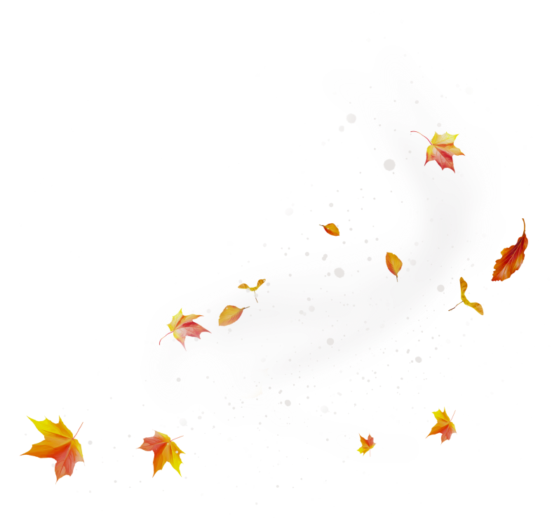 Pumpkinfairykitpudnspakles