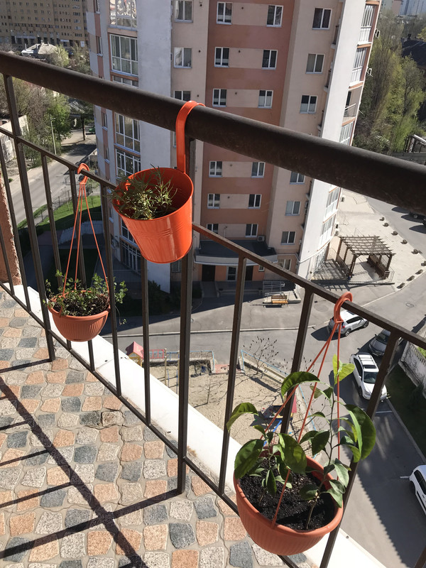 E364D557-36DB-433E-8DE9-79362EDFA627