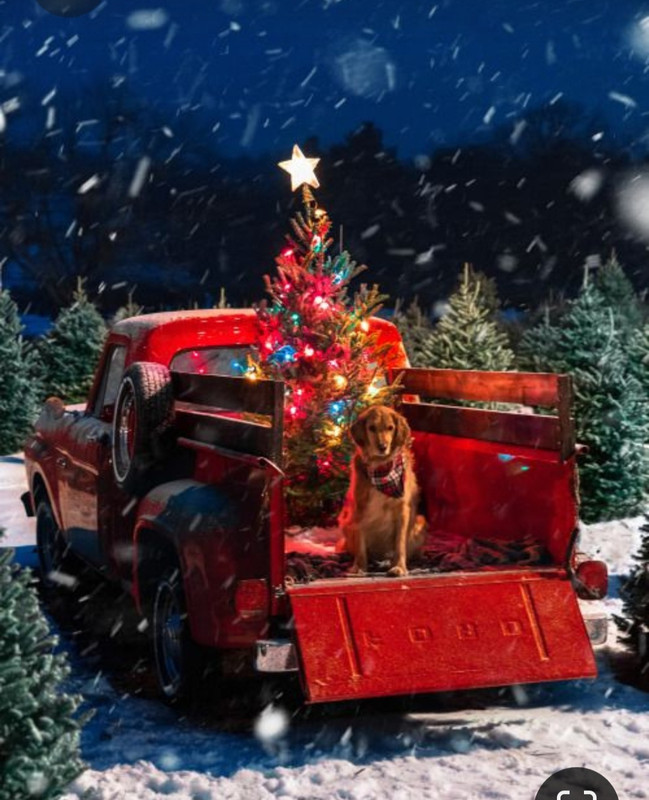 Screenshot_20230412_195153_Pinterest