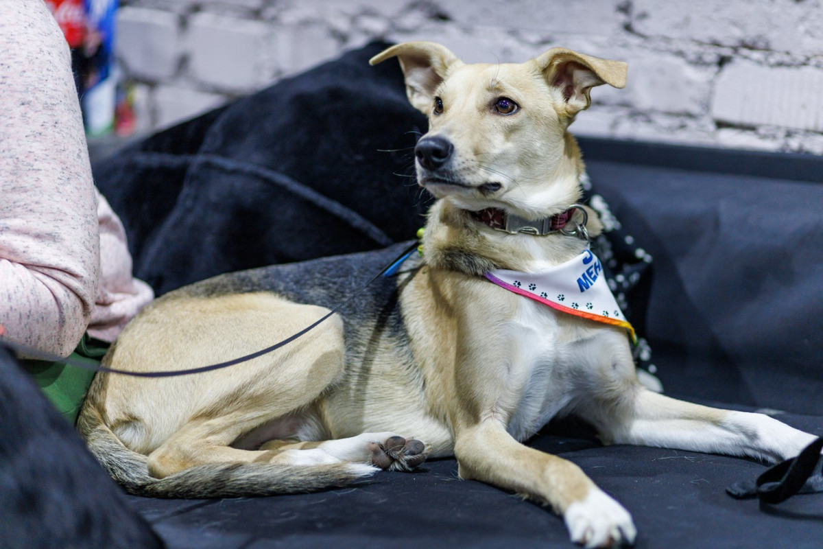 изображение_viber_2023-02-22_20-13-14-816