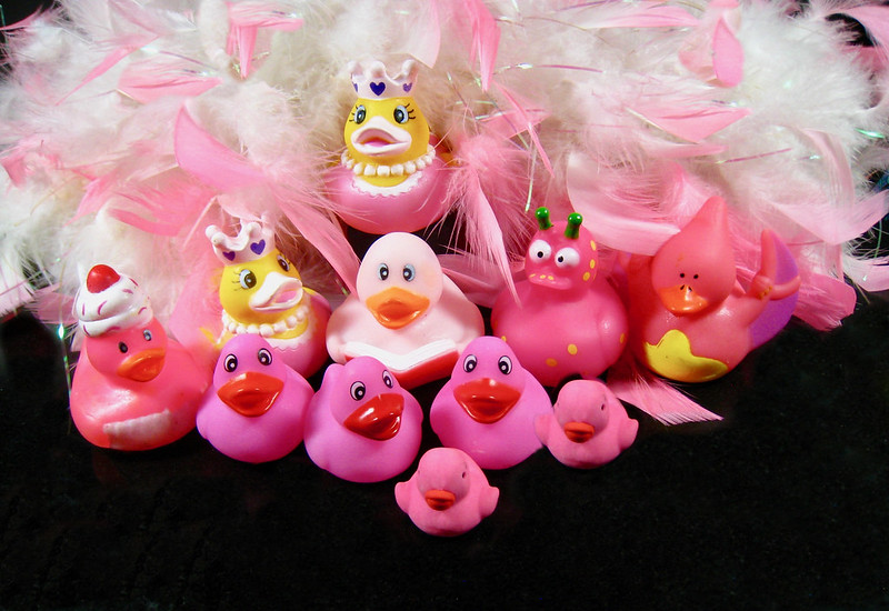 pink-ducks.jpg