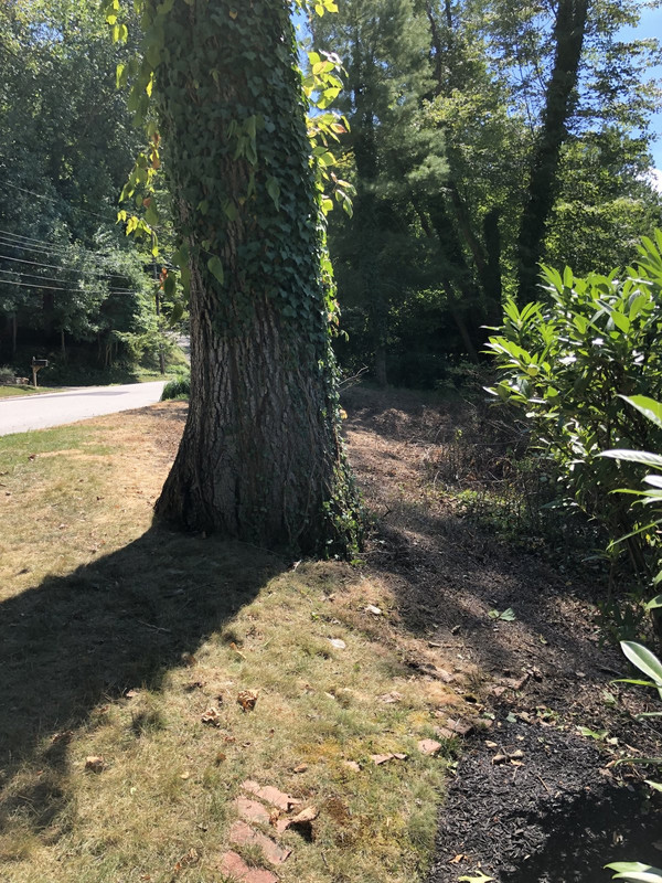 D4398536-5968-4D22-82B2-868843BDBAEA