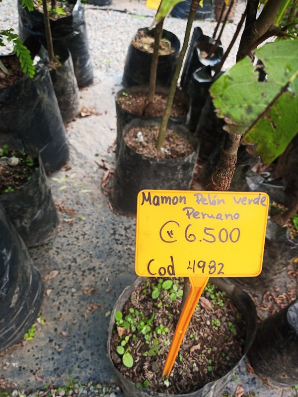 IMG_20221124_161909_518