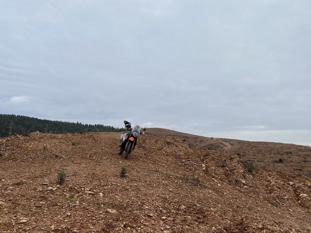 FAECECFA-3154-47C8-BC06-99E5BD6D7473