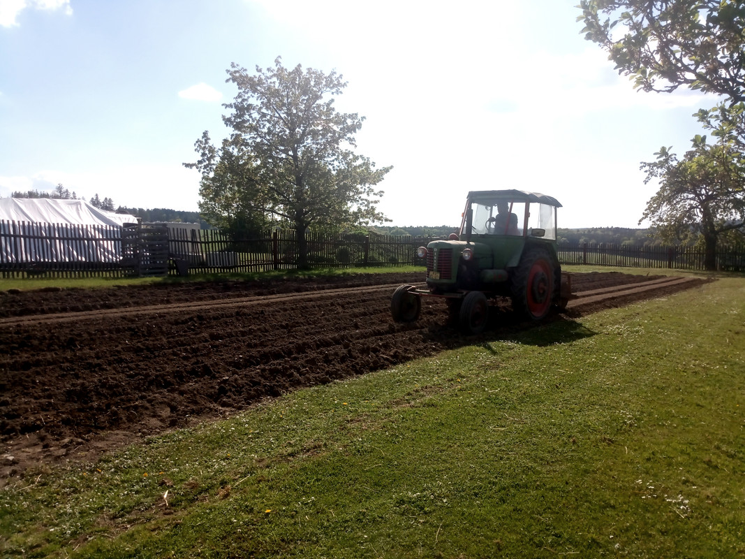 IMG_20250501_161143_270