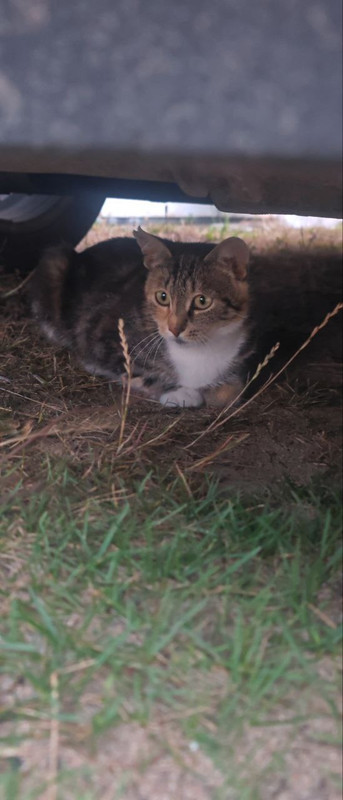 7lzepmfsWsN-BQ0T0yLY1nk6eiFunzY7tPaGfJUt0tVZcMa3rKNBhxNxFOuv_0tbzLByuBDEFejtppmmYH2ryq9i