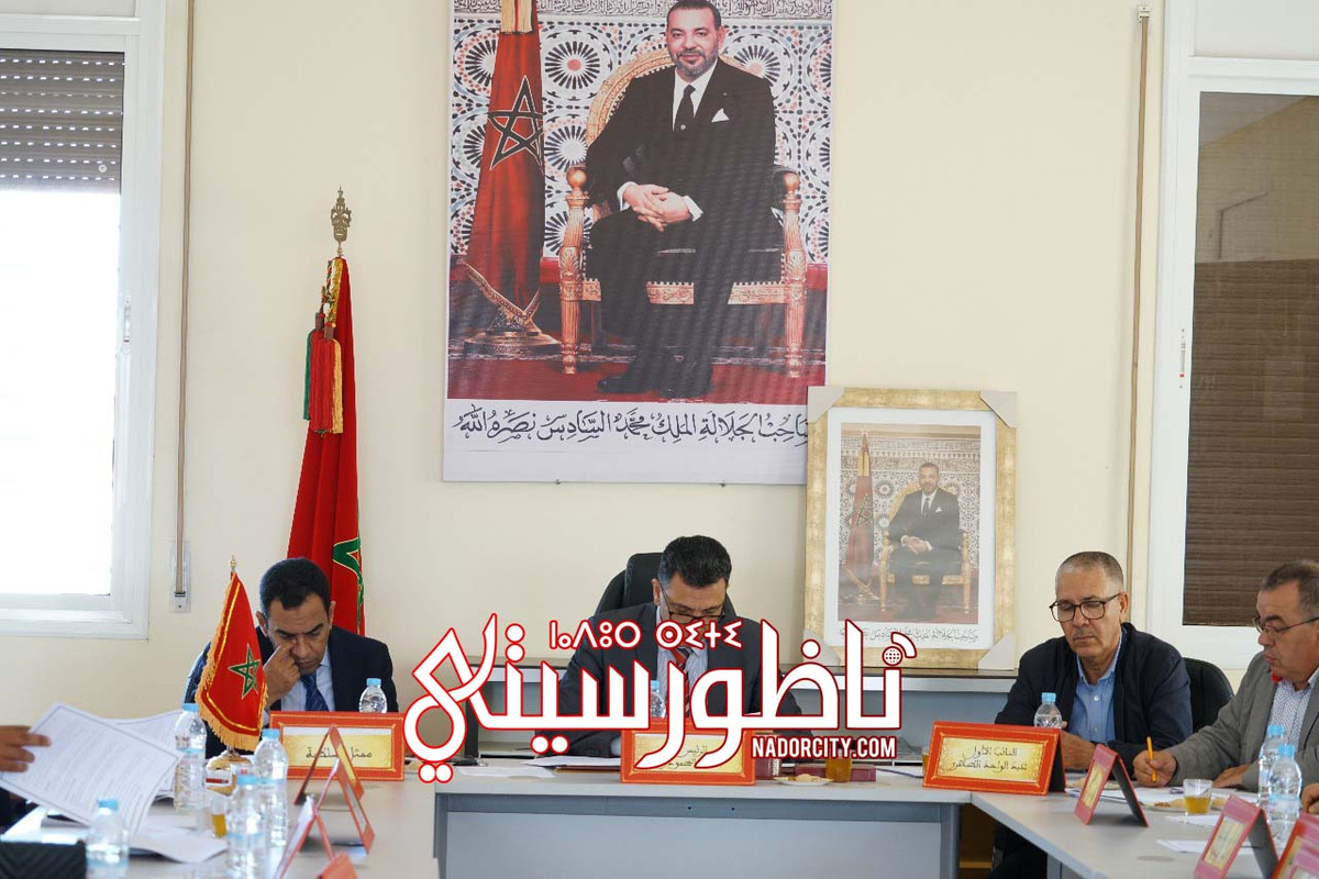 WhatsApp Image 2025-05-06 at 22.34.01 (1)