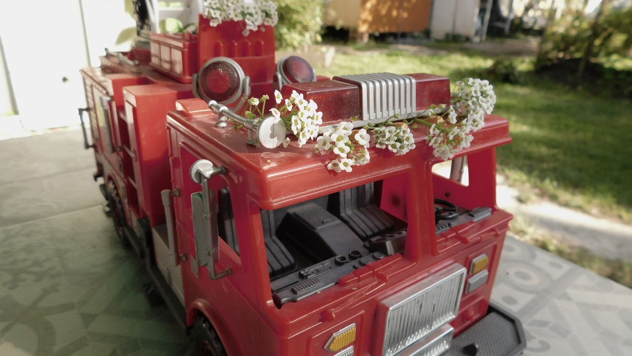 Август дачный кукольный 2023 422