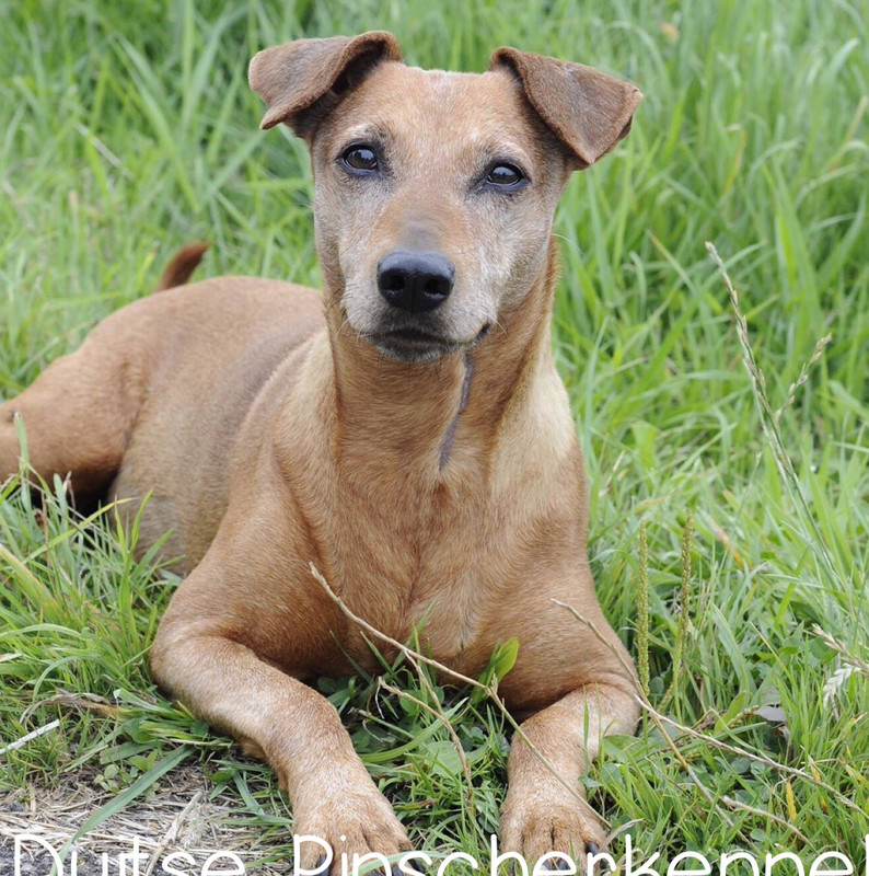 B2CF60EC-E6CB-4B20-8F51-196F8AFFF42C