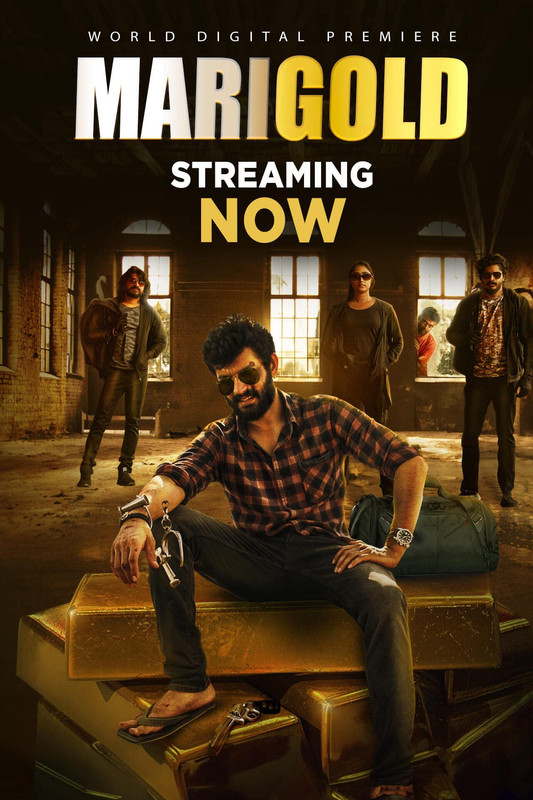 Marigold 2024 Hindi ORG 1080p 720p 480p WEB-DL x264
