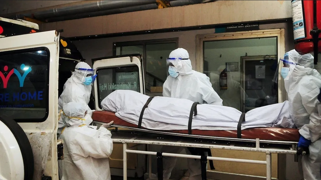 El virus Nipah ya cobra dos vidas, una enfermedad procedente de murciélagos o cerdos
