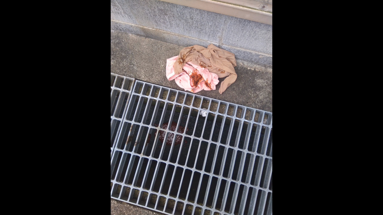 Videoshot 20260127 165632