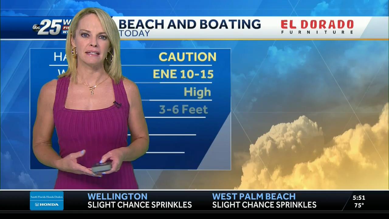 05.23 - 10.00.00 - WPBF 25 News..ts_snapshot_00.54.40_[2021.05.23_16.20.40]